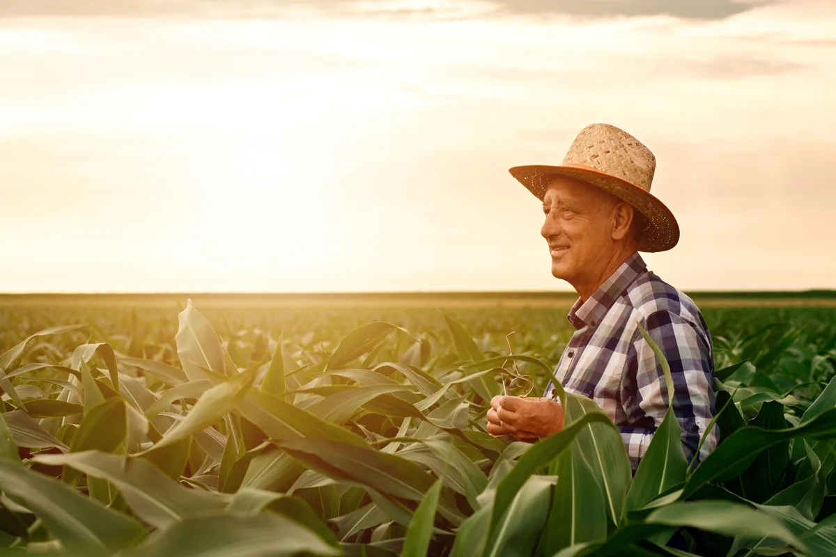 Agricultores: A força que move o Brasil